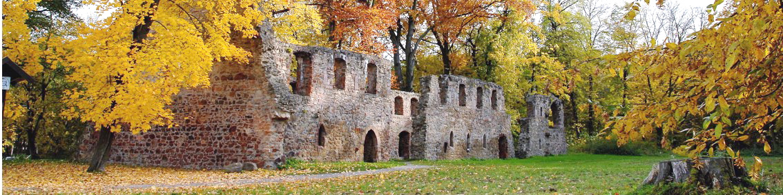 Kloster Nimbschen