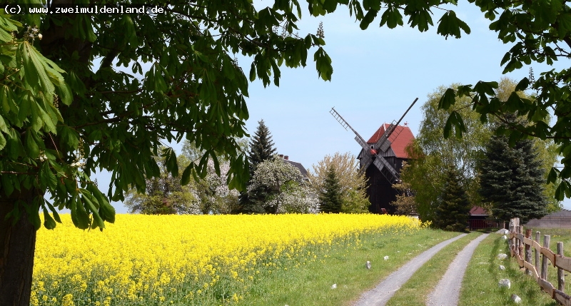 Bockwindmhle Ballendorf