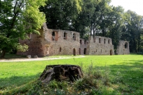 Klosterruine von der Strasse Kloster Nimbschen