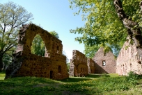Klosterruine Nimbschen vom Park