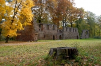 Klosterruine Nimbschen im Herbst
