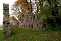 Klosterruine von der Strasse Kloster Nimbschen