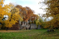 Klosterruine Nimbschen ganz