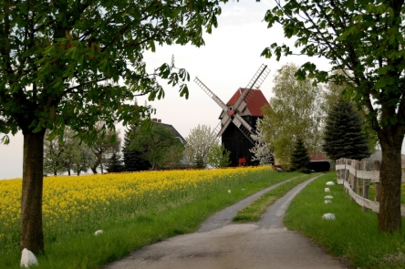 Bockwindmühle Ballendorf