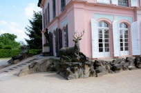 Hirch am Fasanenschlösschen Schloss Moritzburg