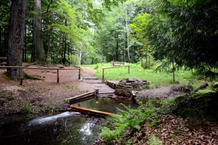 Parthequelle im Colditzer Wald